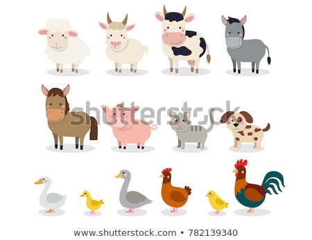 Stock photo: Farm Animals