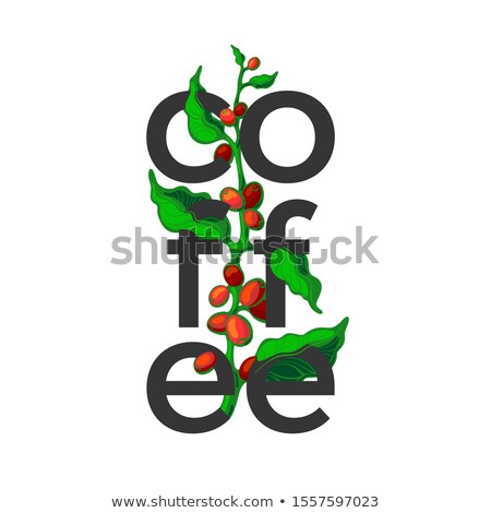 Stock fotó: Background With Floral Design With Coffee Text Coffee Beans And Leaves Green Colors