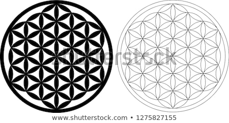 Stok fotoğraf: Flower Of Life Geometry Pattern