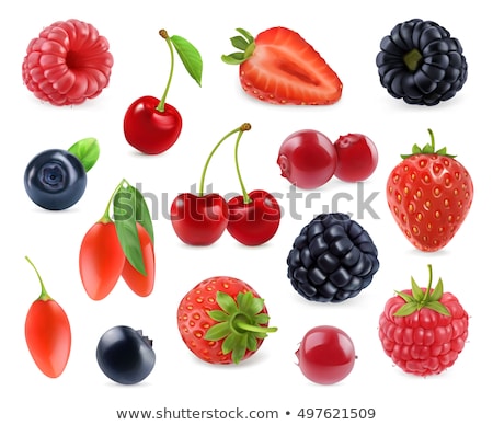 Zdjęcia stock: Set Of Berries