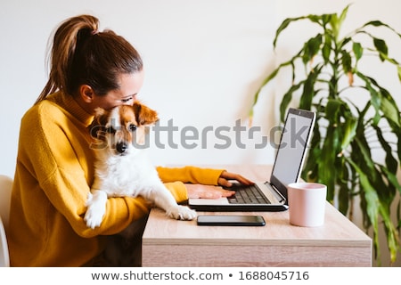 [[stock_photo]]: Smiling Friendly Office Girl