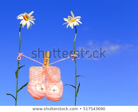Zdjęcia stock: óżowe · buciki · dla · niemowląt · wiszące · między · 2 · kwiatami · na · linii · ubrań