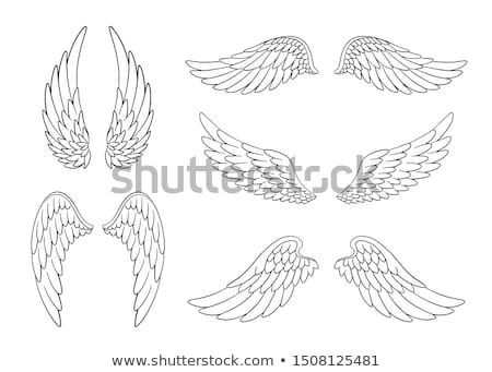 Сток-фото: Two Sketches Of An Angel