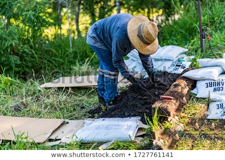 Stok fotoğraf: Compost Plan