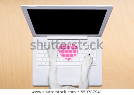 Stockfoto: Valentines Day Dog Dating Online On A Chat