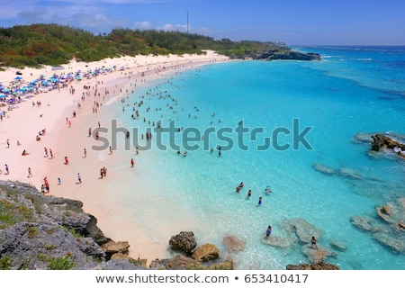 [[stock_photo]]: Horseshoe Bay Bermuda