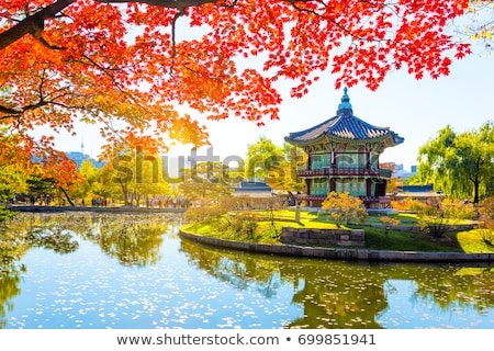 Stockfoto: Maple In Autumn In Korea