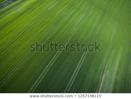 [[stock_photo]]: Farmland From Above - Aerial Image Of A Lush Green Filed