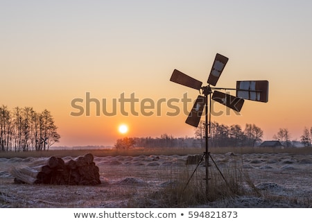 Сток-фото: Cane Cultivation On Winter Meadow Giethoorn Holland