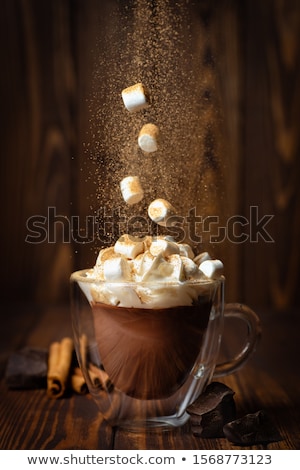 Foto stock: Hot Cocoa And Marshmallows