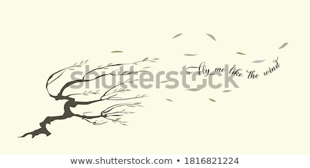 Stockfoto: Bended Willow Tree