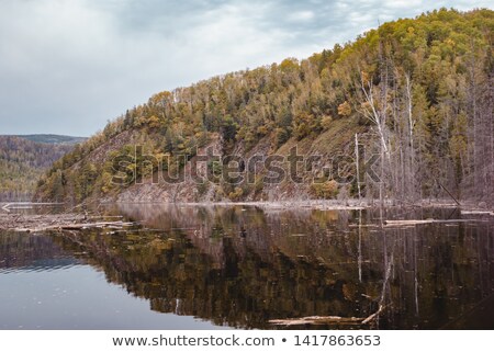 Stock photo: Riverside Forest In Early Fall Bureya River