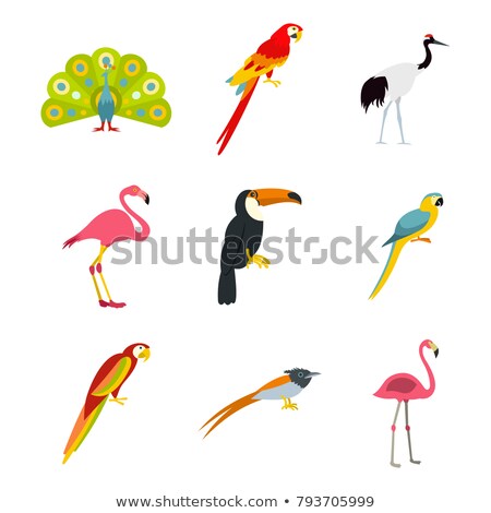 Foto stock: Set Birdsvector