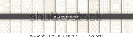 Stock photo: Abstract Geometric Seamless Pattern Set