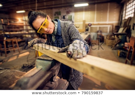 Stok fotoğraf: Woman Carpenter Choosing A Tool To Work On Wood