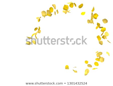 Foto stock: Congratulation To The Holiday With Frame And Yellow Flowers