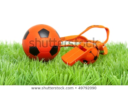 Foto d'archivio: Orange Soccer Ball And Flute