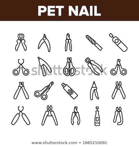 Stock foto: Cutting Fingernails