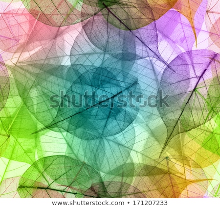 Foto stock: Olhas · Secas · Fundo · Transparente