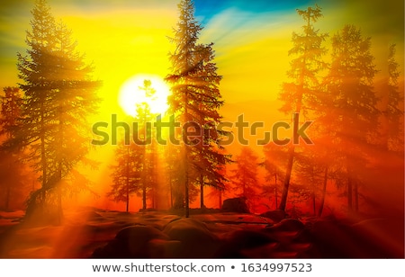 Stock photo: Sunrise