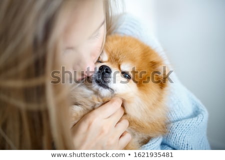 Stock photo: Pomeranian Dog And Woman