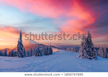 [[stock_photo]]: Majestic Morning Hill Glowing By Sunlight