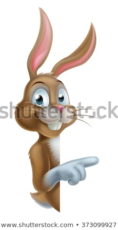 Сток-фото: Peeking Easter Bunny Rabbit Pointing Cartoon Sign