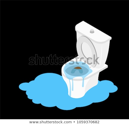 Stockfoto: Toilet Clogged Isometry Leakage Canalization Litter In Wc
