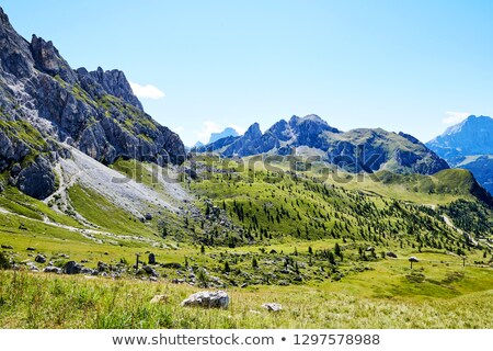 Stockfoto: Giau Pass Green Forest At Daylight