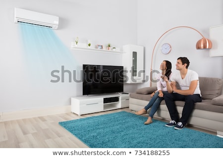 Stock foto: Couple With Remote Control Air Conditioner