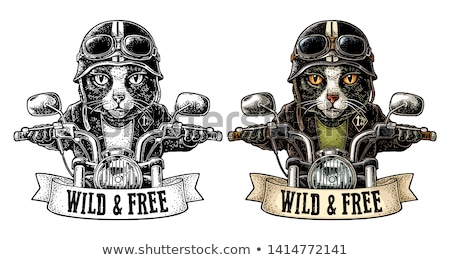 Foto stock: Biker Vector Illustration