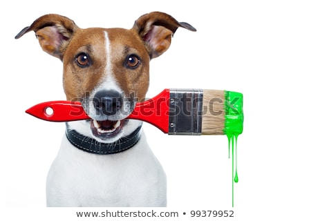 Zdjęcia stock: Dog As A Painter With A Brush And Color