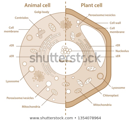 Stockfoto: Education In Color Hexagons In Cellular Structure