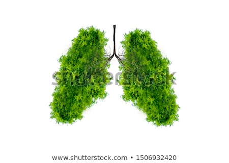 Stok fotoğraf: The Green Lungs