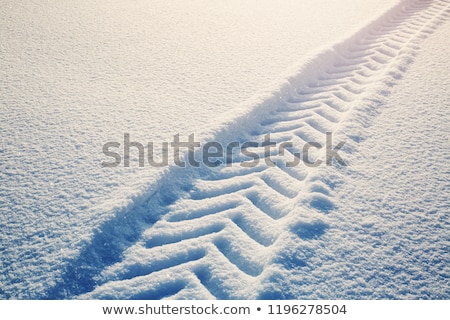 Сток-фото: Snowy Tracks