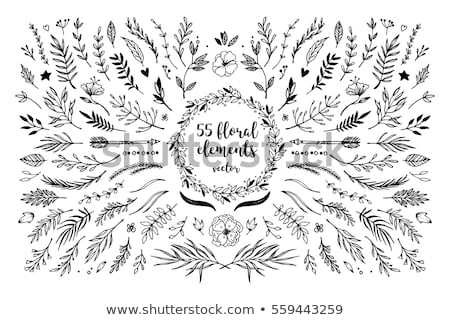 Stock photo: Floral Elements