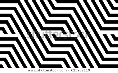 ストックフォト: Vector Seamless Black And White Geometric Stripes Pattern