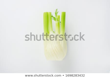 Сток-фото: Bulb Of Fresh Fennel