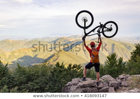 Foto stock: Mountain Biker Looking At Inspiring Forest Landscape