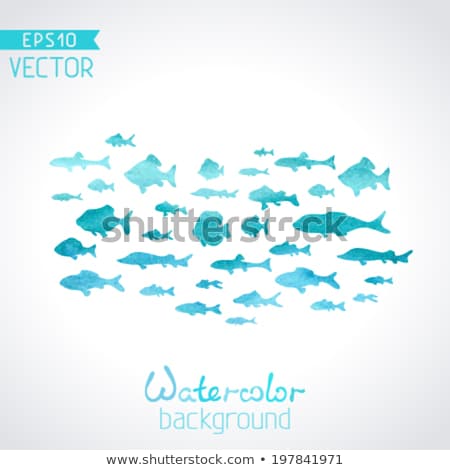 Stock photo: Ocean And Sea Fishes Set Isolated On Blue Backdrop