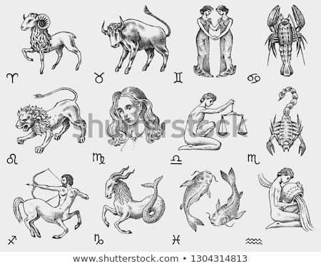 Foto d'archivio: Vector Cute Line Zodiac Sign