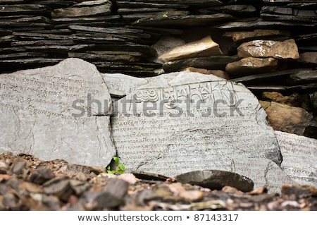 ストックフォト: Buddhist Prayer Stone With Mantra Wet After Rain