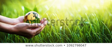 Foto stock: Oncepto · de · protección · del · medio · ambiente · verde · global