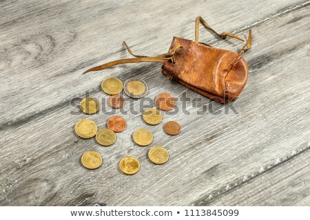 Stock photo: Euro And A Leather Purse