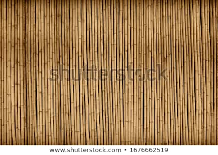 Stockfoto: Bamboo Wall