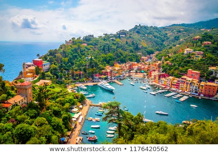 Stok fotoğraf: Yacht In Bay Of Portofino Italy