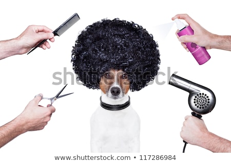 Stockfoto: Hairdresser Scissors Comb Dog Spray