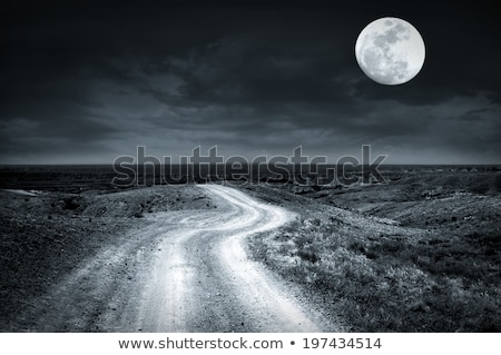 Foto stock: Empty Rural Road Going Through Prairie At Full Moon Night