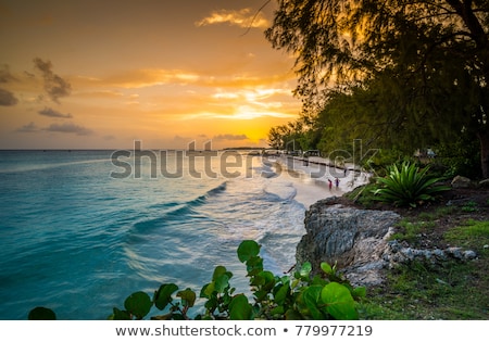 Foto stock: Enterprise Beach Barbados Caribbean