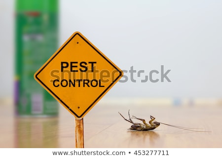 Stockfoto: Stop Pest